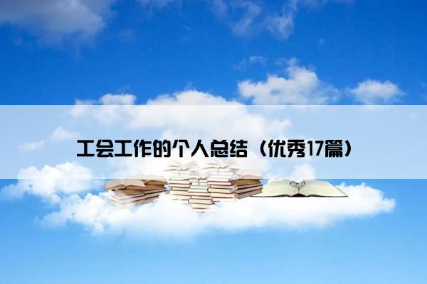 工会工作的个人总结（优秀17篇）