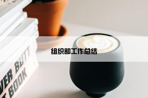 组织部工作总结