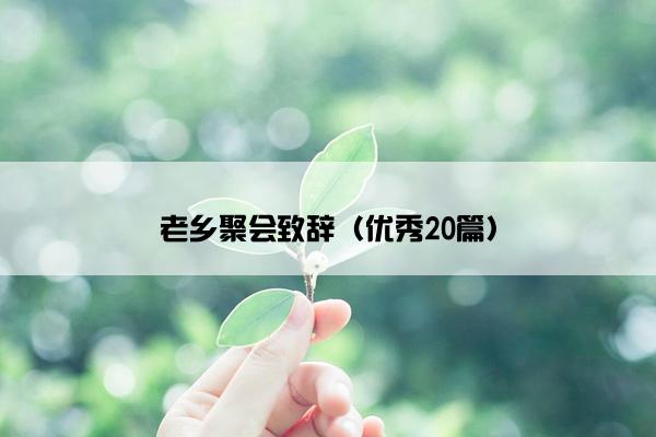 老乡聚会致辞（优秀20篇）
