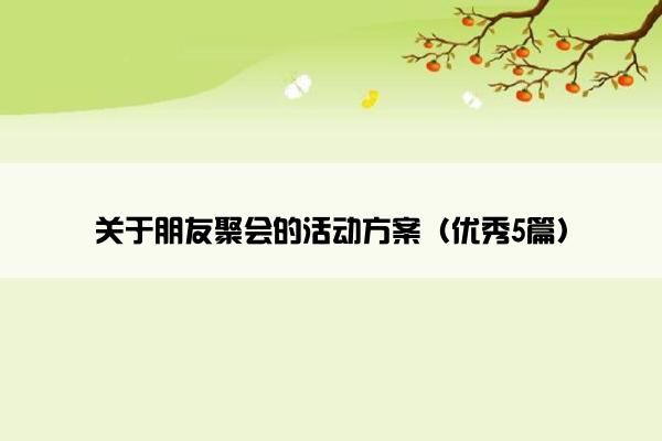 关于朋友聚会的活动方案（优秀5篇）