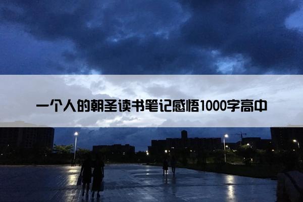 一个人的朝圣读书笔记感悟1000字高中