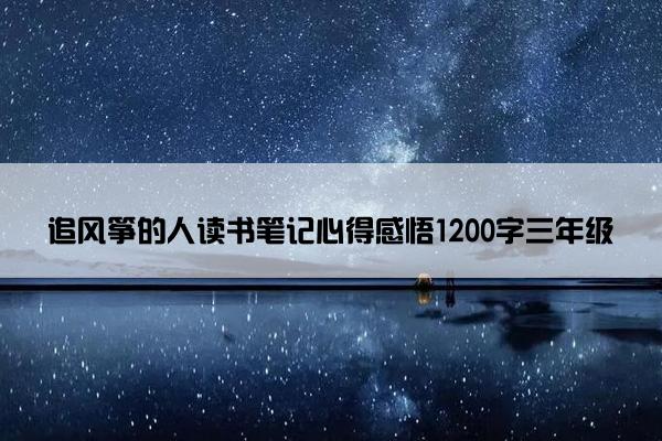 追风筝的人读书笔记心得感悟1200字三年级