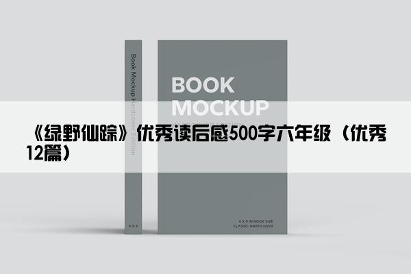 《绿野仙踪》优秀读后感500字六年级（优秀12篇）