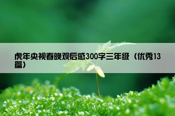 虎年央视春晚观后感300字三年级（优秀13篇）