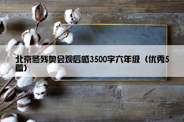 北京冬残奥会观后感3500字六年级（优秀5篇）