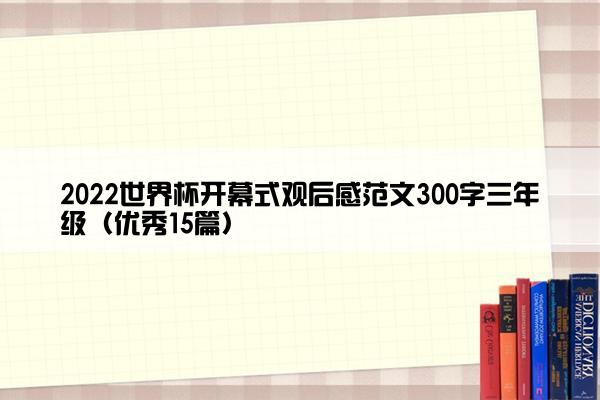 2022世界杯开幕式观后感范文300字三年级（优秀15篇）