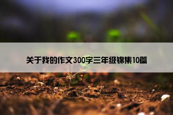 关于我的作文300字三年级锦集10篇
