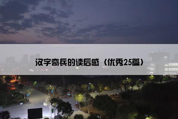 汉字奇兵的读后感（优秀25篇）