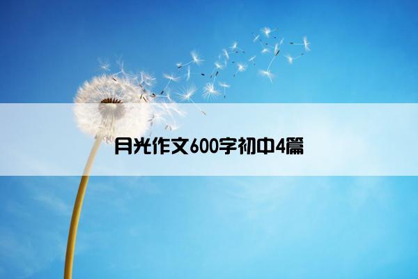 月光作文600字初中4篇