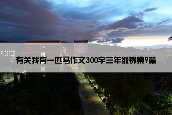有关我有一匹马作文300字三年级锦集9篇