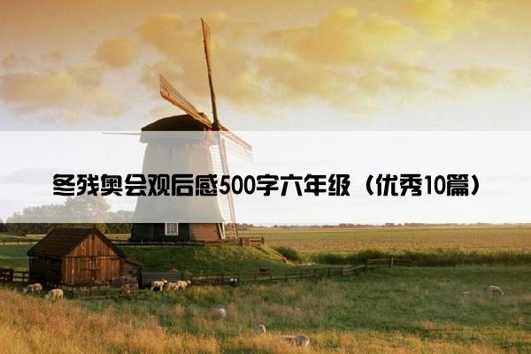 冬残奥会观后感500字六年级（优秀10篇）