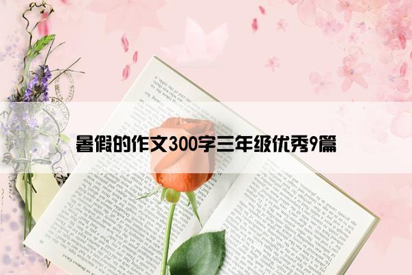 暑假的作文300字三年级优秀9篇