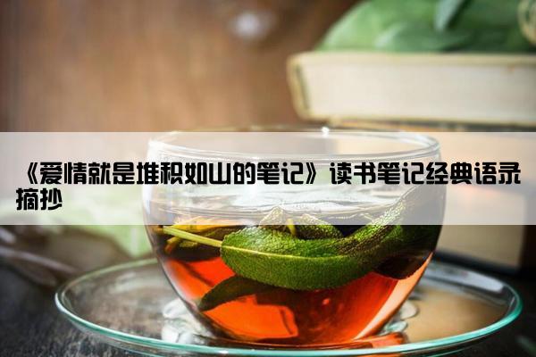 《爱情就是堆积如山的笔记》读书笔记经典语录摘抄