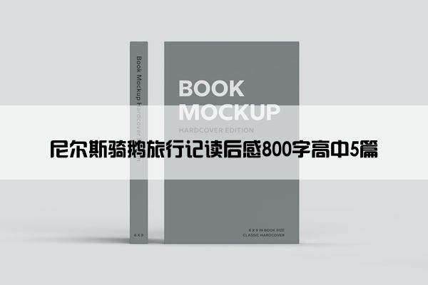 尼尔斯骑鹅旅行记读后感800字高中5篇