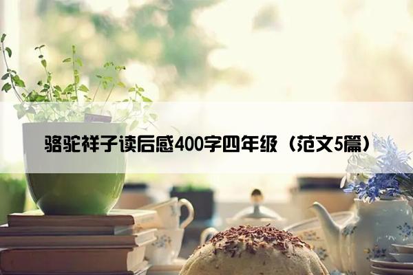 骆驼祥子读后感400字四年级（范文5篇）