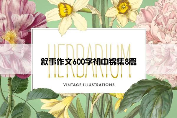 叙事作文600字初中锦集8篇