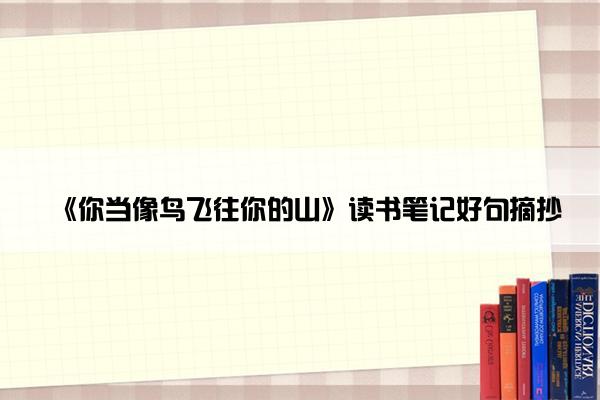 《你当像鸟飞往你的山》读书笔记好句摘抄