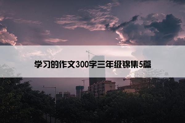 学习的作文300字三年级锦集5篇