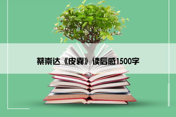 蔡崇达《皮囊》读后感1500字
