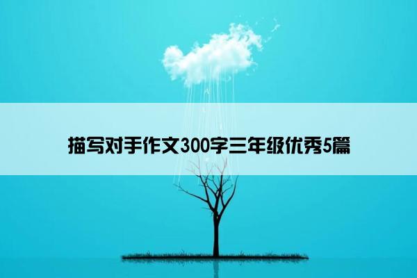 描写对手作文300字三年级优秀5篇