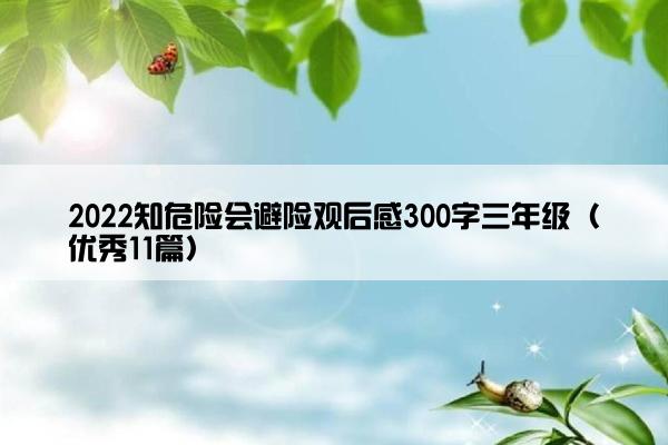 2022知危险会避险观后感300字三年级（优秀11篇）