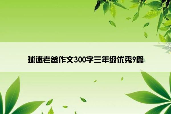 球迷老爸作文300字三年级优秀9篇