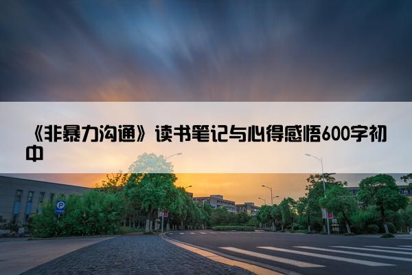 《非暴力沟通》读书笔记与心得感悟600字初中