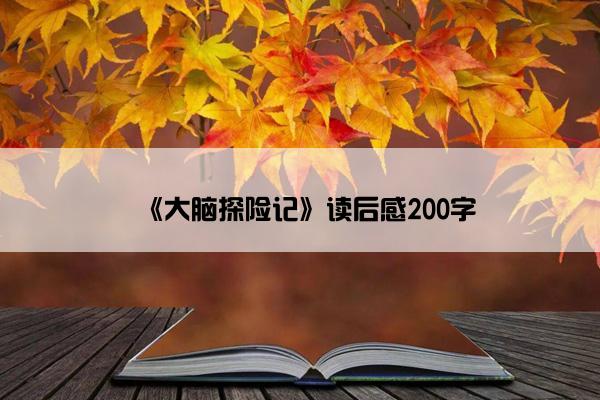 《大脑探险记》读后感200字