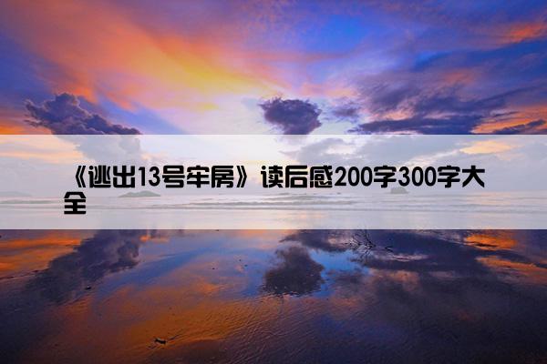 《逃出13号牢房》读后感200字300字大全
