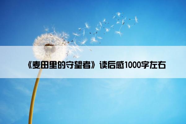 《麦田里的守望者》读后感1000字左右