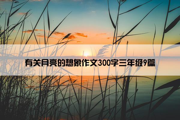 有关月亮的想象作文300字三年级9篇