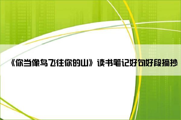 《你当像鸟飞往你的山》读书笔记好句好段摘抄