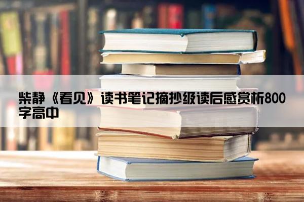柴静《看见》读书笔记摘抄级读后感赏析800字高中