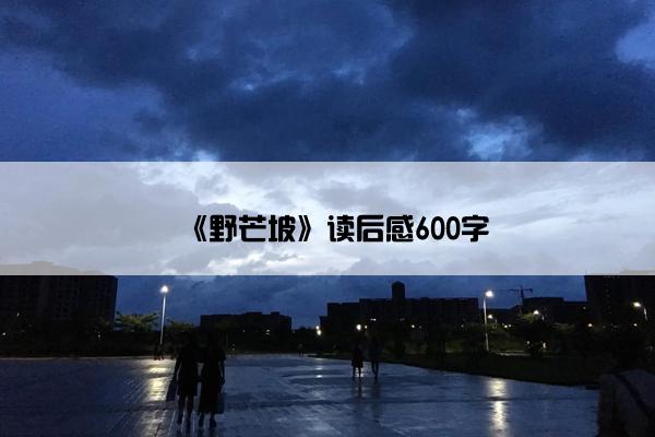 《野芒坡》读后感600字