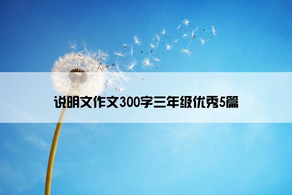 说明文作文300字三年级优秀5篇
