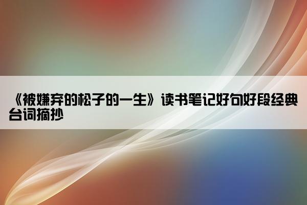 《被嫌弃的松子的一生》读书笔记好句好段经典台词摘抄