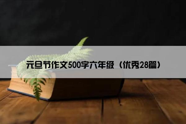 元旦节作文500字六年级（优秀28篇）