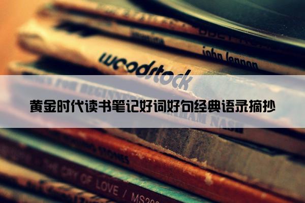 黄金时代读书笔记好词好句经典语录摘抄