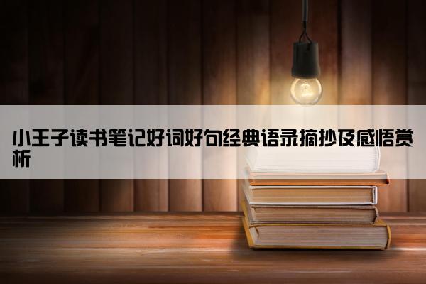 小王子读书笔记好词好句经典语录摘抄及感悟赏析