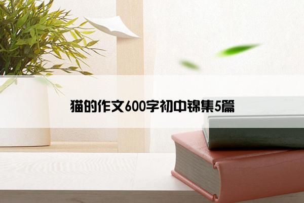 猫的作文600字初中锦集5篇