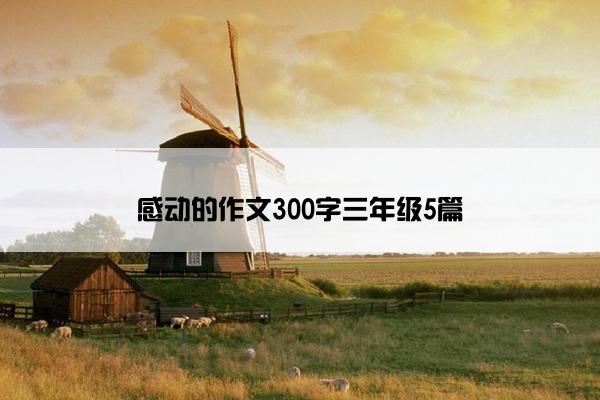 感动的作文300字三年级5篇