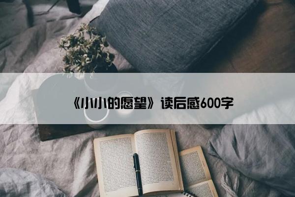 《小小的愿望》读后感600字