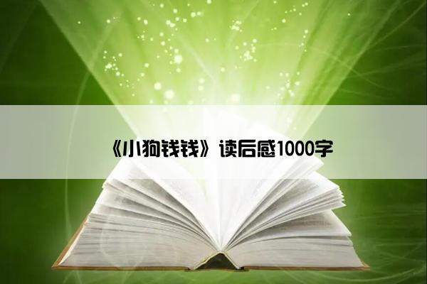 《小狗钱钱》读后感1000字