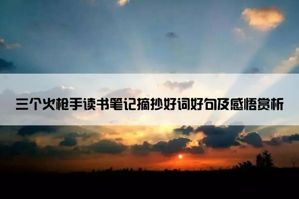 三个火枪手读书笔记摘抄好词好句及感悟赏析