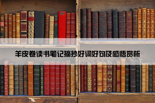羊皮卷读书笔记摘抄好词好句及感悟赏析