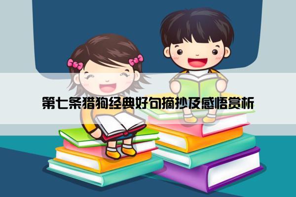 第七条猎狗经典好句摘抄及感悟赏析