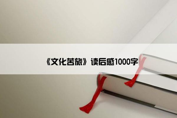 《文化苦旅》读后感1000字