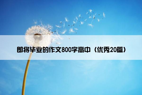 即将毕业的作文800字高中（优秀20篇）