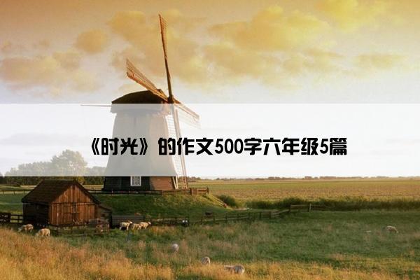 《时光》的作文500字六年级5篇