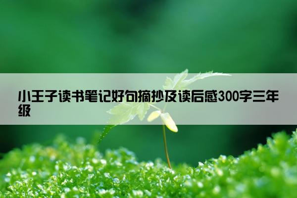 小王子读书笔记好句摘抄及读后感300字三年级
